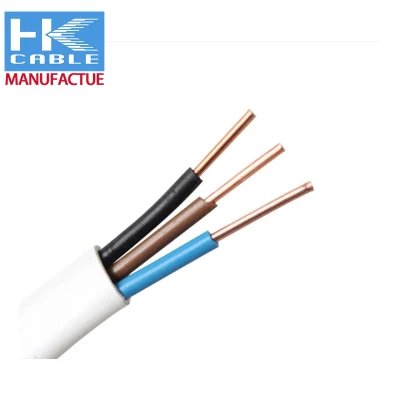 Cavi elettrici in rame smaltato in PVC BV RVV da 2,5 mm Cavi trifase Cobre da 2.5 10 mm, 2, 5 mm2