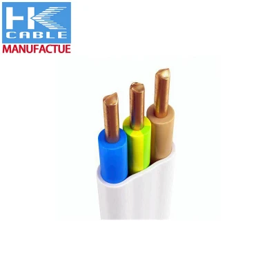 Cavo TPS piatto 450/750V filo da costruzione isolato in PVC fornitore per la Cina In Australia
