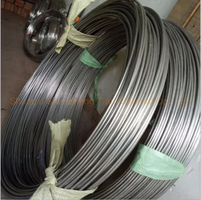 Filo lucido industriale in acciaio inox da 304 2.5 mm