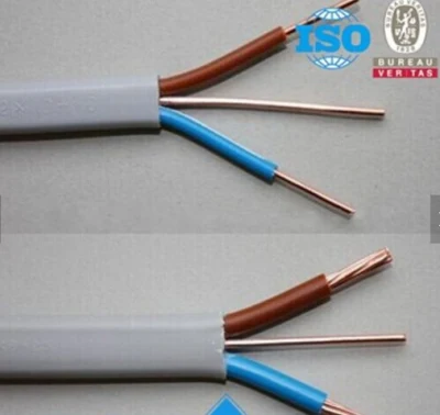 Cavo doppio piatto con guaina in PVC isolato con conduttore in rame