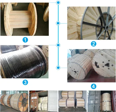 Alimentazione elettrica blindata con conduttore in rame/alluminio XLPE/PVC isolato Swa bassa tensione Cavo 0.6/1kv