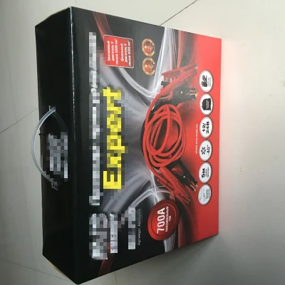 Cavo ausiliario elettrico per uso automobilistico (T106-0062)