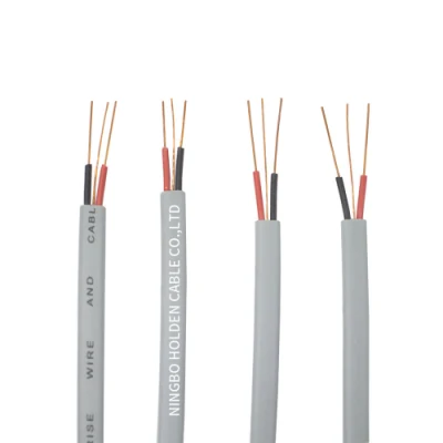 Cavo di alimentazione elettrica flessibile 2 nuclei 2c 3c piatto Cavo