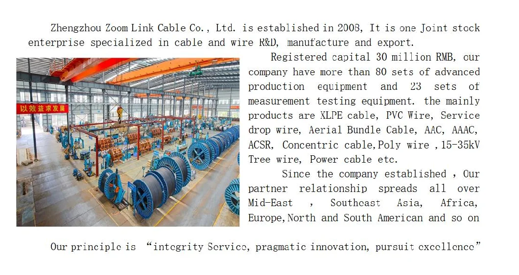 Factory Direct XLPE/PVC Insulated Electric Copper Wire Cable with ISO CCC Certificates (1.5mm 2.5mm 4.0mm 6.0mm 10mm 16mm 20mm)