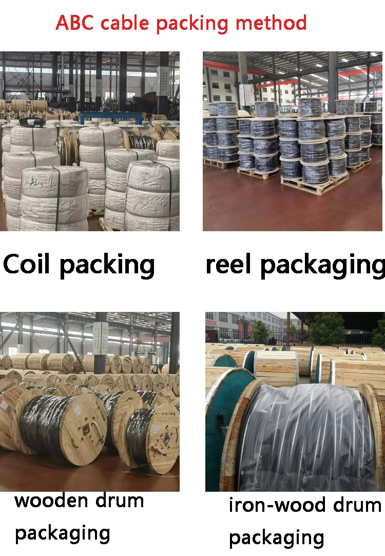 Jinshui Factory Price ACSR Conductor Covered Line Wire Duplex ABC Cable