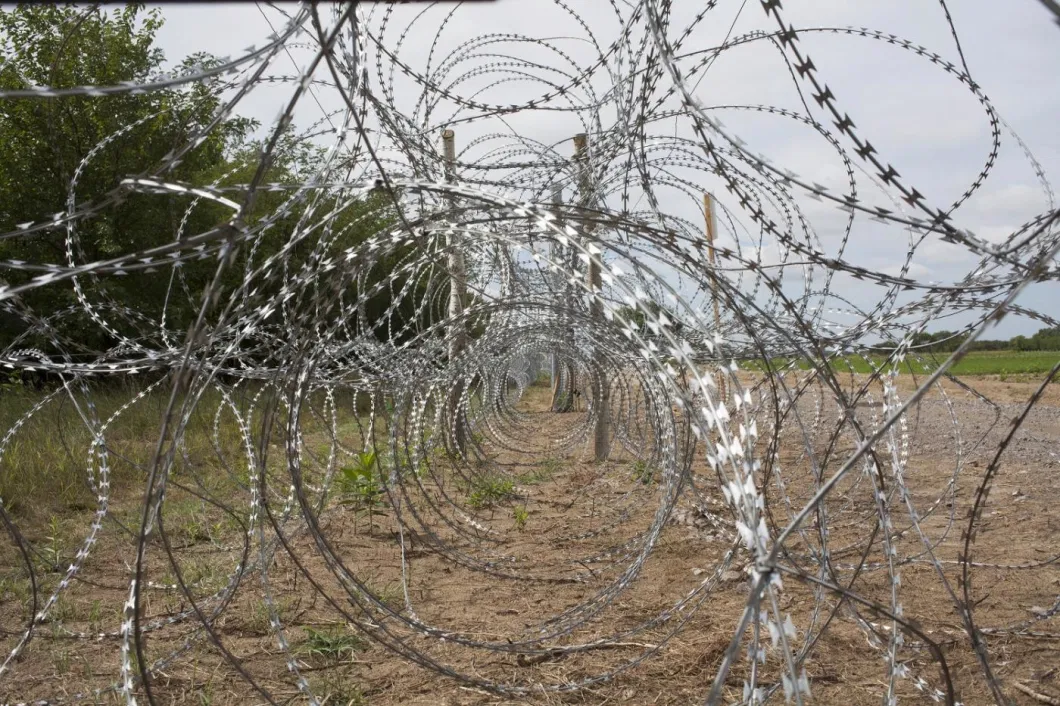 Barbed Concertina Fencing Wire Razor Wire