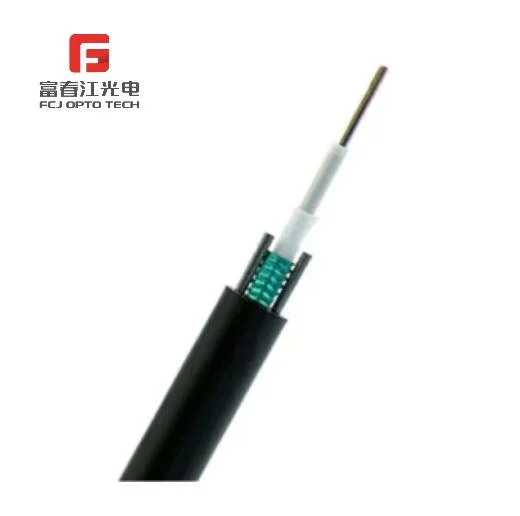 Fcj Stranded Hot Sale Gyxtzw Metallic Strength Member Loose Tube Armored Cable