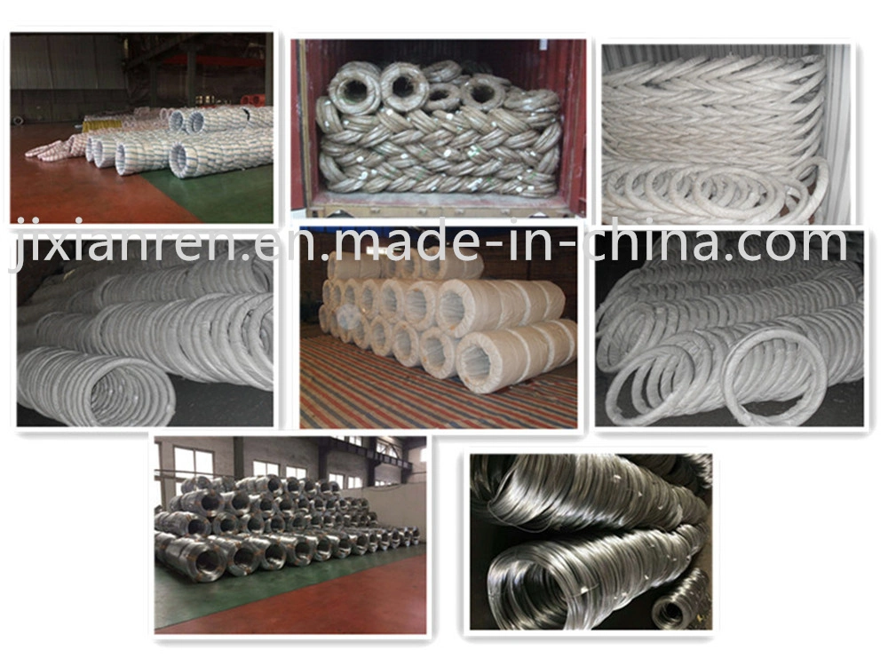 Low Carbon Steel Electric Galvanized Wire