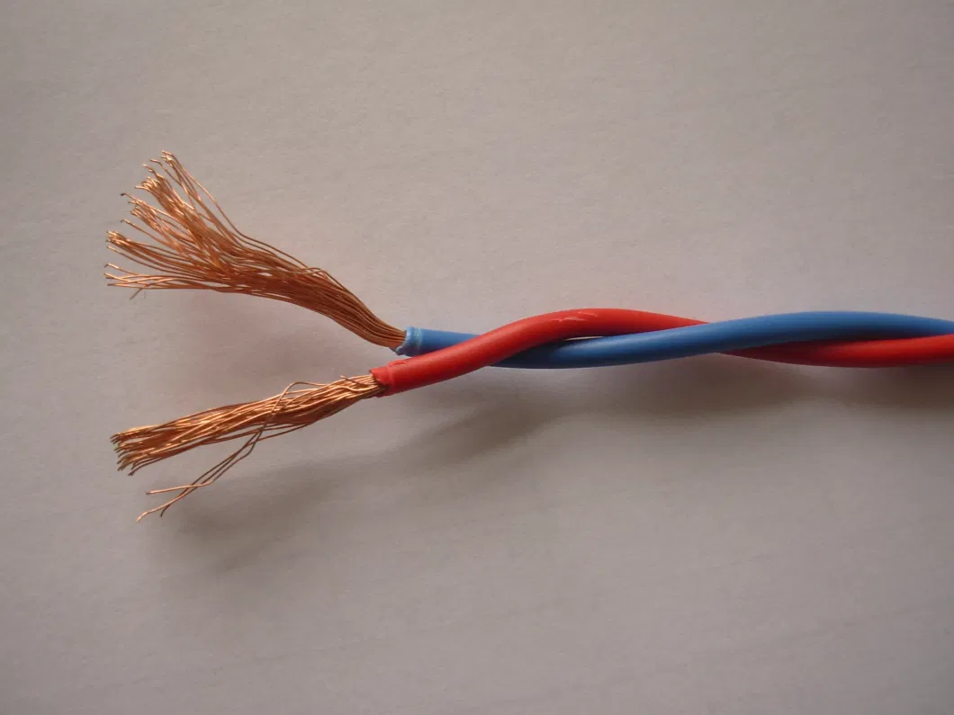 Flexible Cu/PVC Wire, Single Core RV Electrical Wire Factory Supply Electric Wire for House Wiring