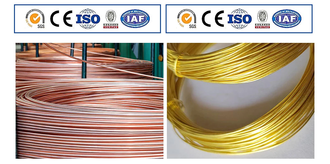 C63020,C65500,C68700,C70400, C70620,C71000 Manufacturer High Quality Soft Easily Soldered Ductile and Electrical Conductivity 99% Pure Copper Wire Mesh for Sale