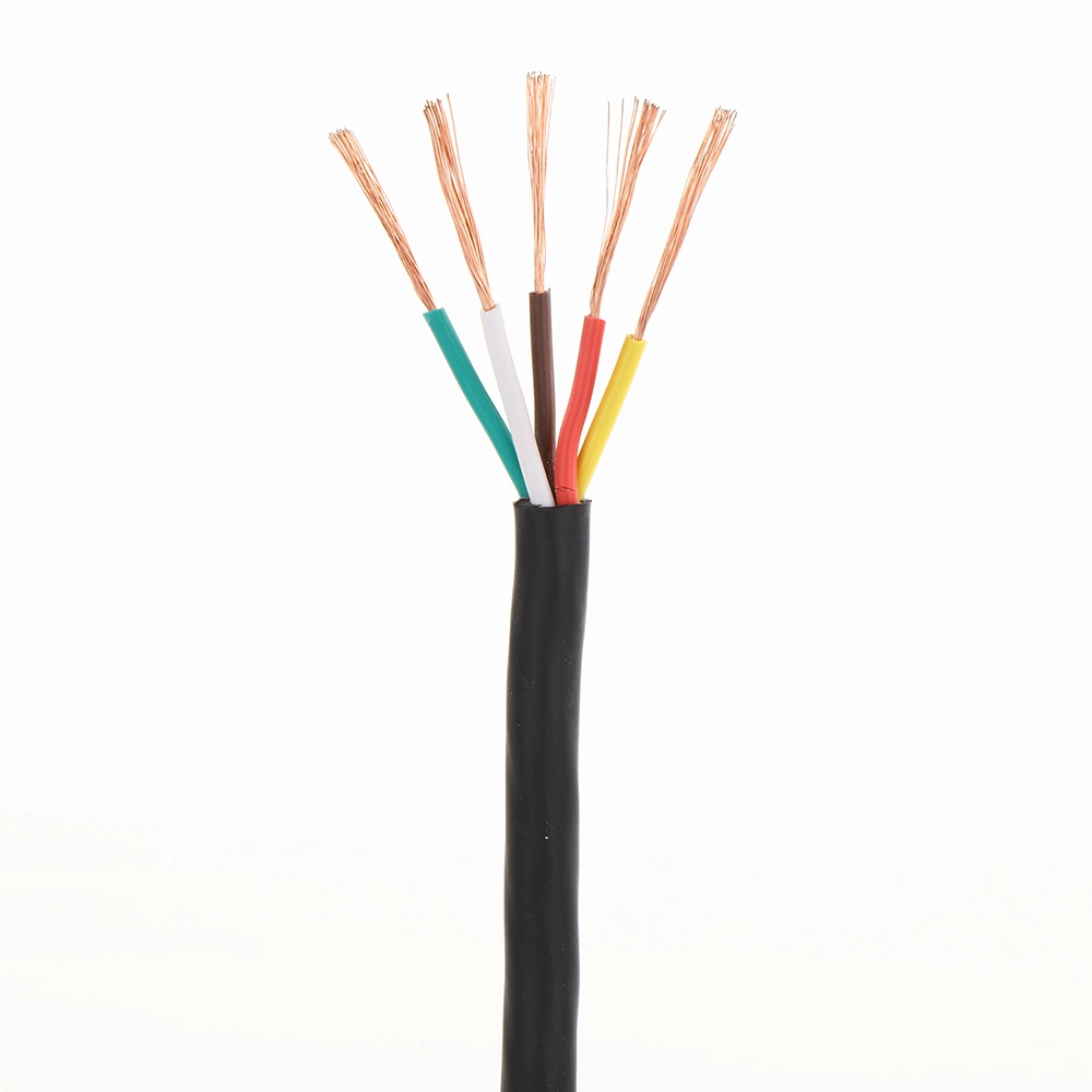 Electrical/Electric PVC NBR HDPE Insulation Copper CCA Conductor 450/750V Flexible Cable