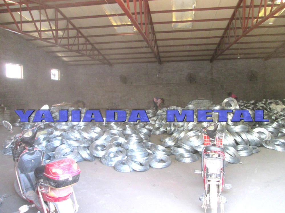 21 Gauge 4kg Galvanized Binding Wire for Kuwait Market