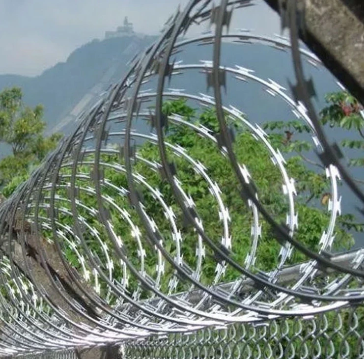 High Quality Galvanized Razor Barbed Wire From China Factory Manufacturer