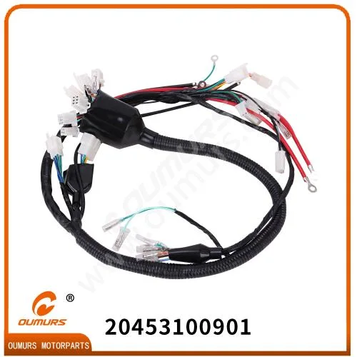 High Quality Motorcycle Part Main Cable for Shineray Xy200gy