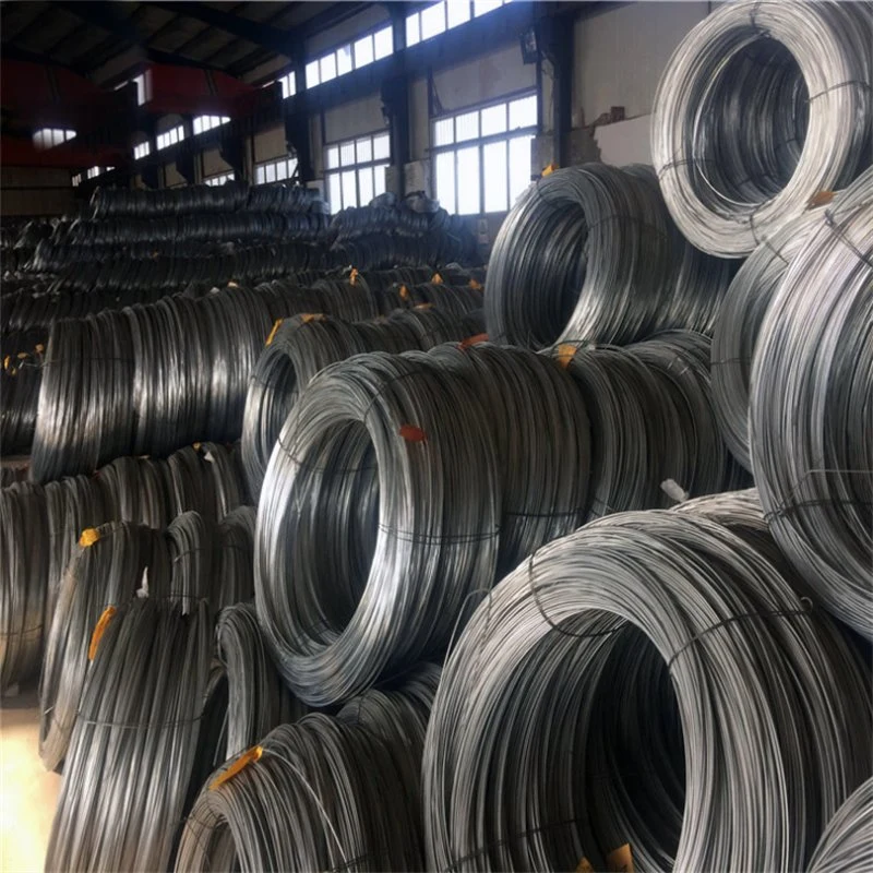 Cold Rolled Low/High Carbon/Ms Steel Wire Rod SAE 1008 /1006 5.5 6.5 8 10 12 mm Q195 Q235 High Quality Hot Dipped Gi Wire Nail Wire