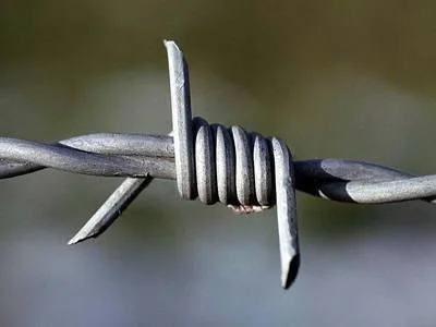 Galvanized Barbed Wire Double Twisted on Top of The Fence for Airport Security