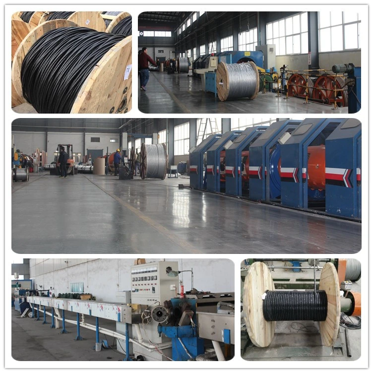 Factory Direct XLPE/PVC Insulated Electric Copper Wire Cable with ISO CCC Certificates (1.5mm 2.5mm 4.0mm 6.0mm 10mm 16mm 20mm)