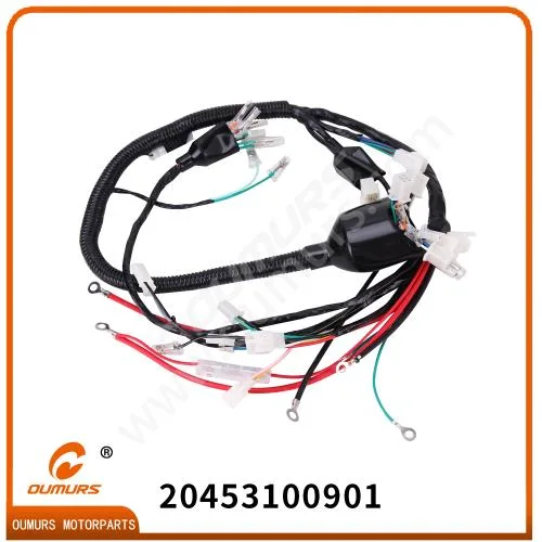 High Quality Motorcycle Part Main Cable for Shineray Xy200gy