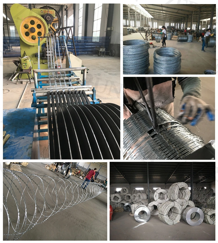 Galvanized Concertina Razor Barbed Wire for Fence Cbt-65 in Tanzania