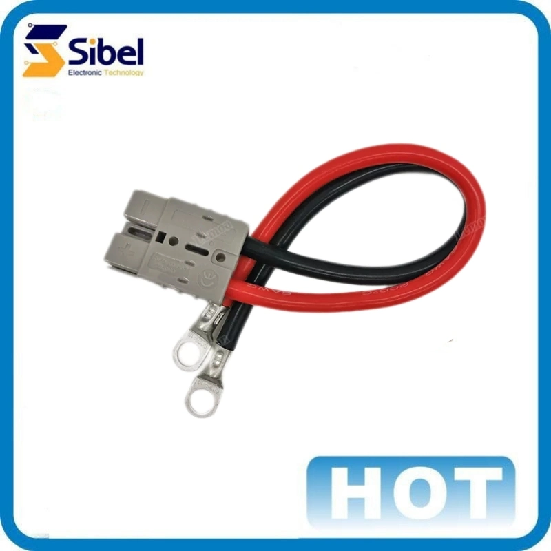 Auto Car Electrical Cable Assembly Battery Wiring Harness with High Quality