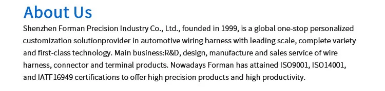 Custom Battery New Energy Charging Cable Assemblies High Voltage Cable Energy Storage Connector Wire Harness