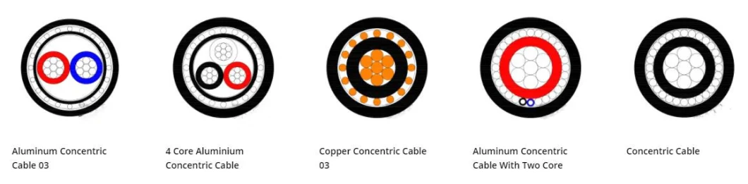 0.6/1kv Sans BS UL854 Standard 4 6 10mm2 4AWG 8AWG Aluminum or Copper Conductor XLPE Insulation Concentric Cable Electric Wire &amp; Cable