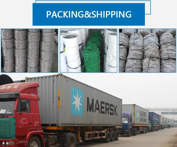 Hot Dipped Galvanized Double Twisted Barbed Wire 15gague 200m Length Roll for Fence