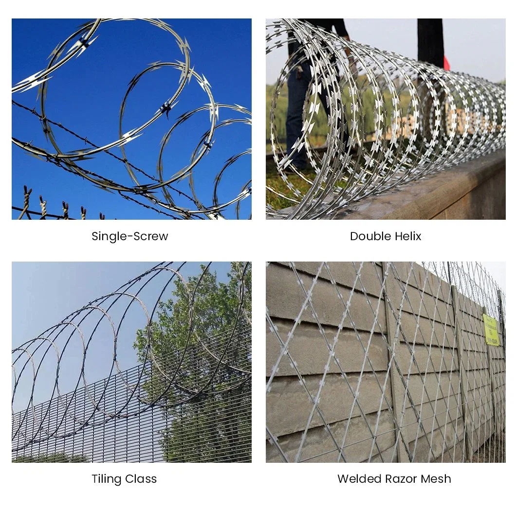 Hot Dipped Razor Barbed Wire Fence Security Fencing Galvanized PVC Bto 22 Low Price Concertina Razor Barbed Wire Double Twist 450mm