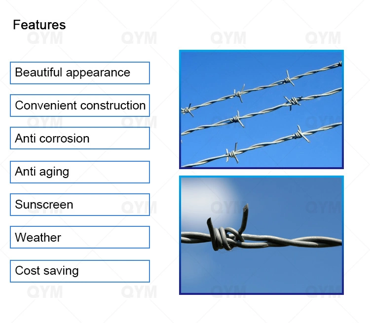 Hot-Dipped Galvanized Razor Barbed Wire for Airport Prison Farm Security Fence