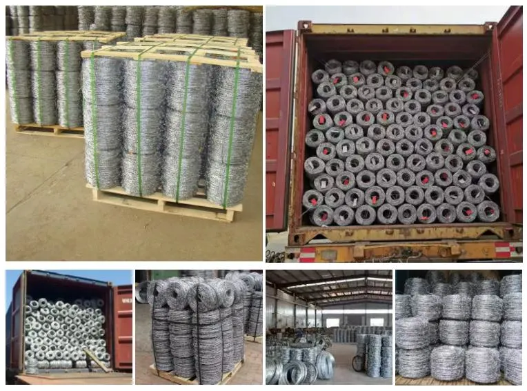 Hot Dipped Barb Wire Wholesale Stainless Steel Fencing Price Wilded Wire Anti Theft Single Strand 500m Price Electrical Stainless Steel Roll Barbed Wire