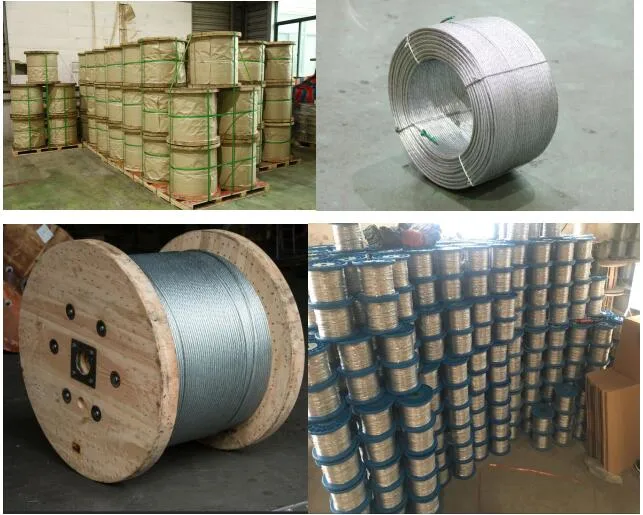 ISO9001 Certificate Electric Galvanized Stranded Cable Wire 7/0.33 mm 7/1.0 mm for OFC