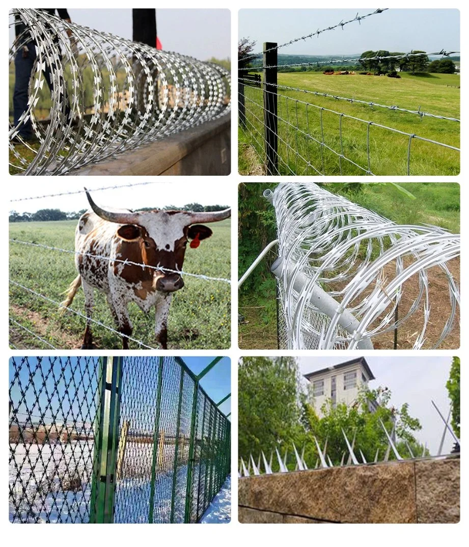 Hot Dipped Razor Barbed Wire Fence Security Fencing Galvanized PVC Bto 22 Low Price Concertina Razor Barbed Wire Double Twist 450mm