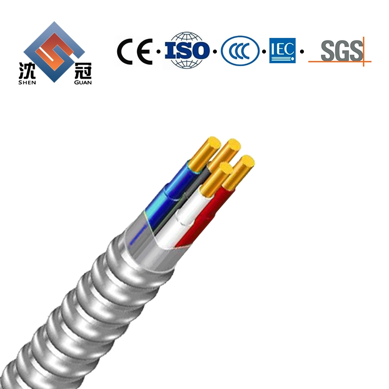 Shenguan Overhead 2 Pin 2.5 2.5mm DC5521 5521 5.5mm X 2.1mm 5.5X2.1 Male to Male Jack Plug Connector Extension DC Power Cable Electrical Cable Wire Cable