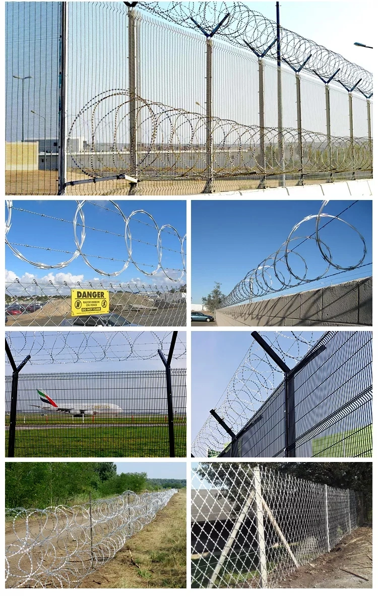 Hot Dipped Barb Wire Wholesale Stainless Steel Fencing Price Wilded Wire Anti Theft Single Strand 500m Price Electrical Stainless Steel Roll Barbed Wire