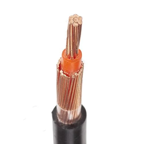 Concentric Cable Copper S/C 10 16 25 Sq. mm PVC Insulated Single Phase Cu PVC