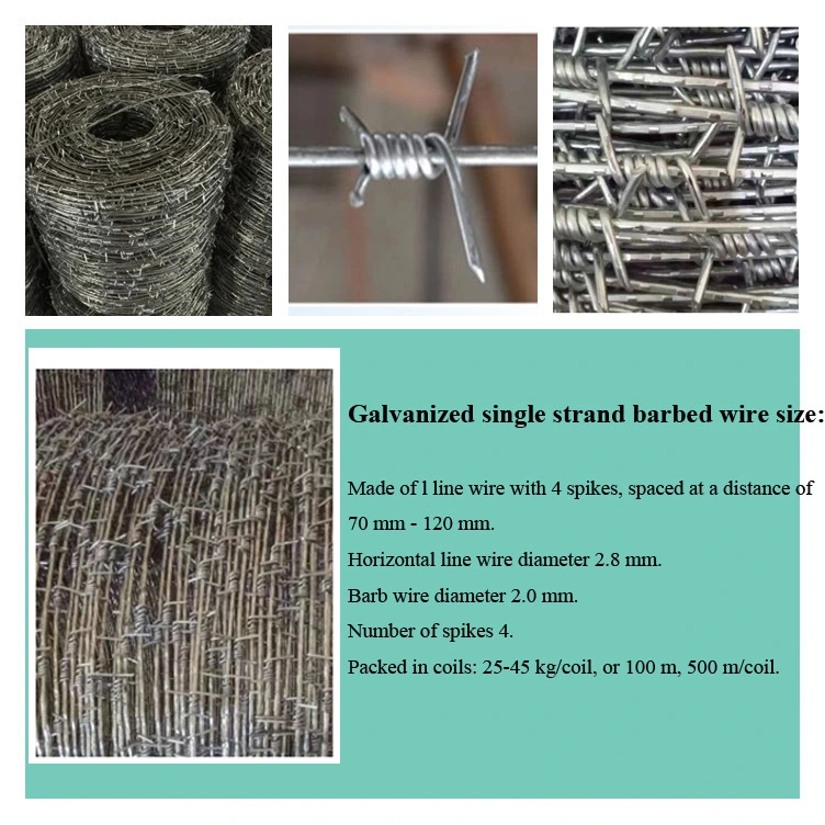 Professional Prison Barbed Wire/Razor Wire/Concertina Wire/Blade Wire /Bto-22 Cbt-60 Cbt-65 Concertina Razor/Galvanized Barbed Wire/Cross Razor Wire