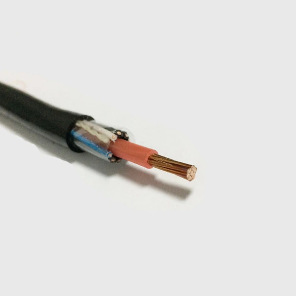 Concentric Cable Copper S/C 10 16 25 Sq. mm PVC Insulated Single Phase Cu PVC