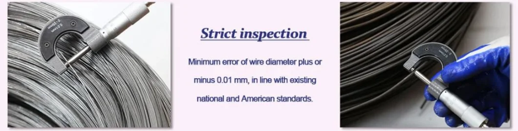 Metal Iron Wire Manufacturer Galvanized Steel Wire for Construction Binding Wire