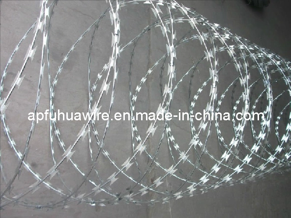 Galvanized Hot Sale Razor Wire