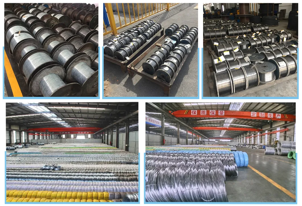 ASTM 201 202 304 304h 304L 316 321 310 201 430 0.8mm 1mm 0.13mm Stainless Steel Wire Price List
