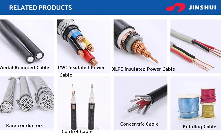 0.6/1kv XLPE/PVC Insulated Copper/Aluminum Conductor Swa Power Cable Electrical Wire ABC Cable