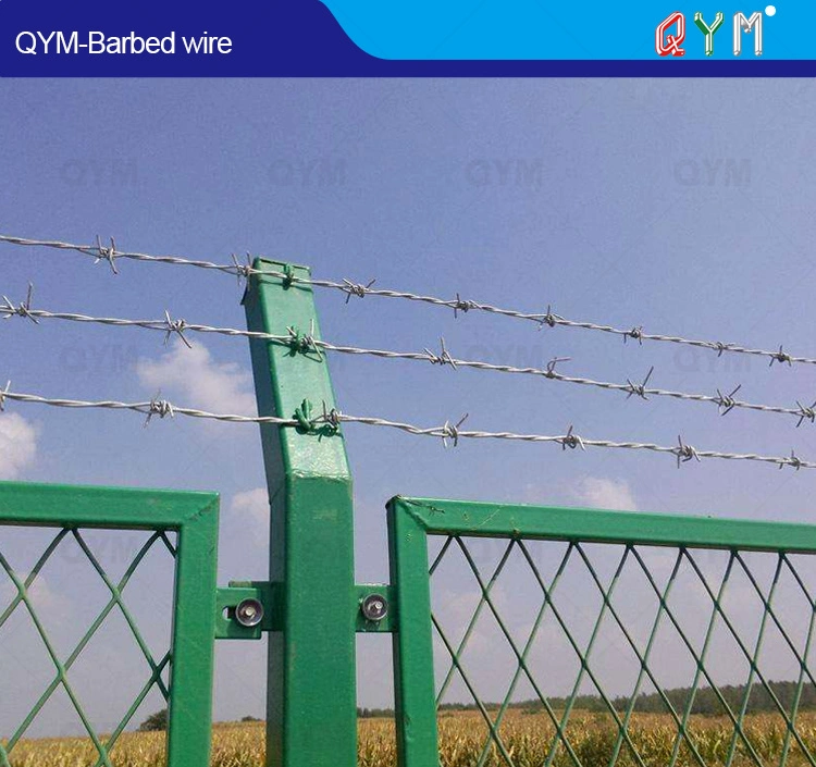 Hot-Dipped Galvanized Razor Barbed Wire for Airport Prison Farm Security Fence