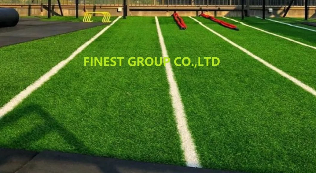 Sled Running Track Astro Turf, Grass Carpet Gym Mat for Fitness Gym Indoor Sled Running Track