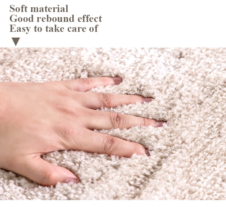 Hot Sale Nordic Style Fluffy Soft Floor Carpet Living Room Rugs Plush Carpet Bedroom Mat