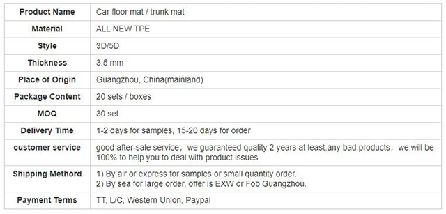 Factory Price Leather 5D Custom Car Floor Mats for 2015-2017 Everest