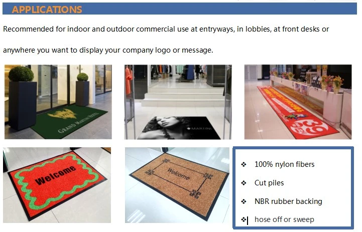China Wholesales Rubber Backing Nylon Printed Logo Flooring Door Mat for Entry