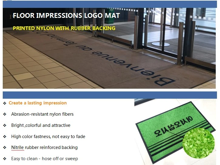 China Wholesales Rubber Backing Nylon Printed Logo Flooring Door Mat for Entry