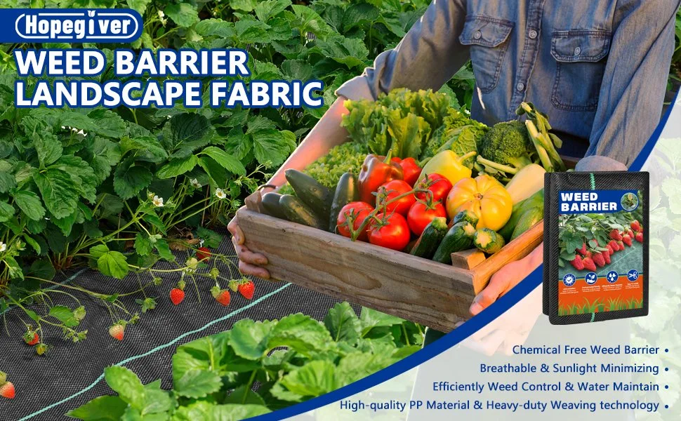 90GSM 100GSM 105GSM PP Fabric for Ground Cover and Weed Control Mat