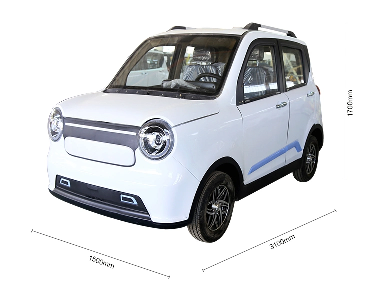 Electric Car 2-Seater Enclosed Cabin Electric Four-Wheel Adult Mini Car