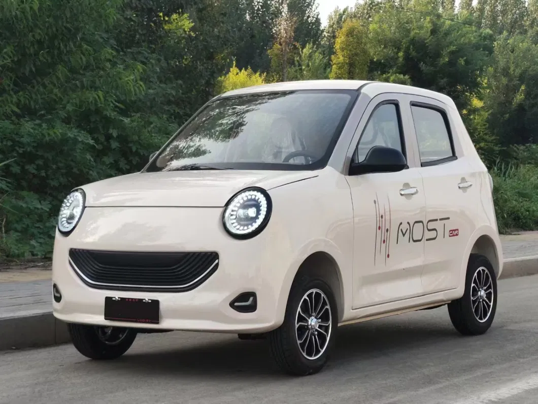 Electric Car 2-Seater Enclosed Cabin Electric Four-Wheel Adult Mini Car